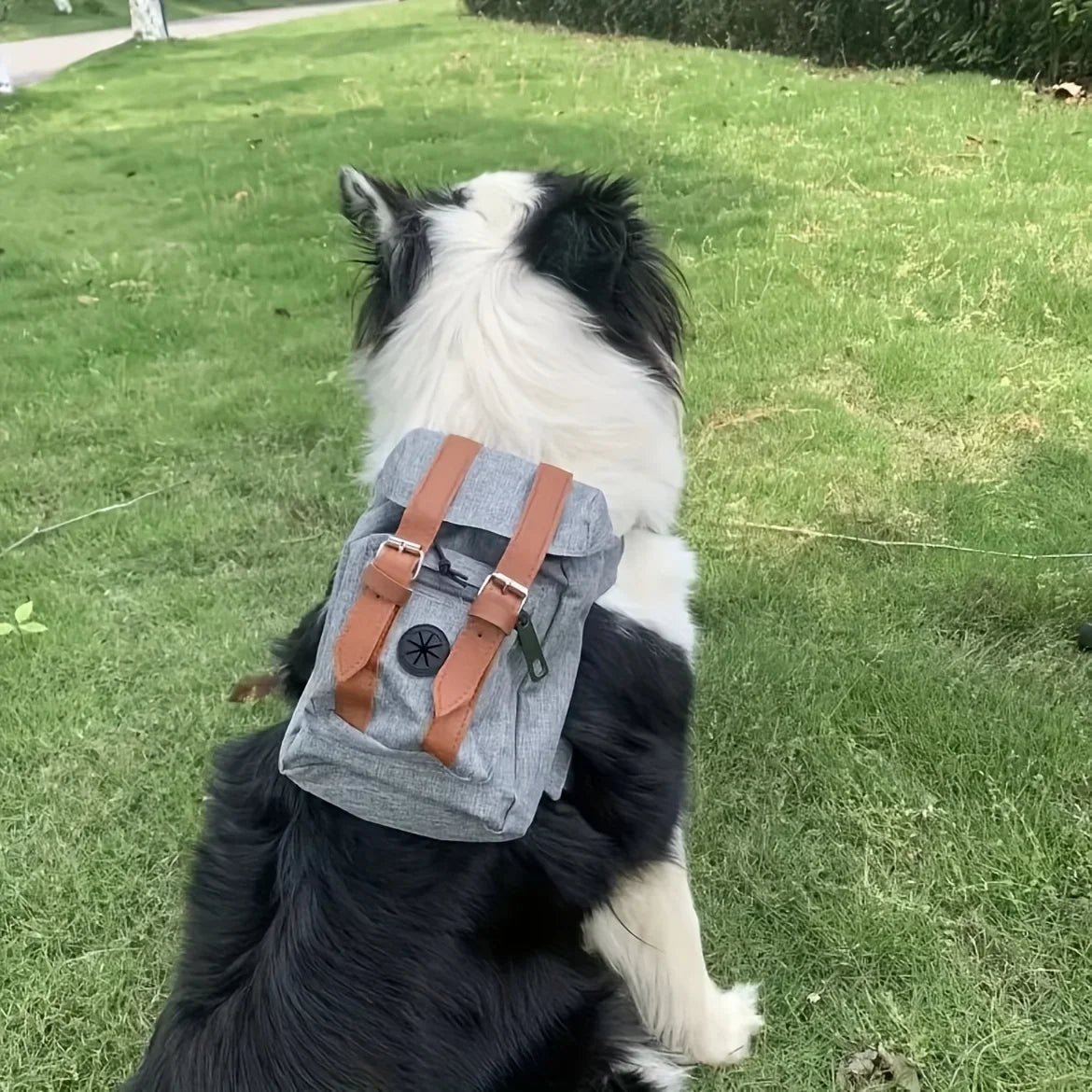 Multifunctional Pet Dog Backpack Pet Carrier Puppy Bag Dogs Outdoor Travel Dog Snacks Backpack French Bulldog Dog Accessories