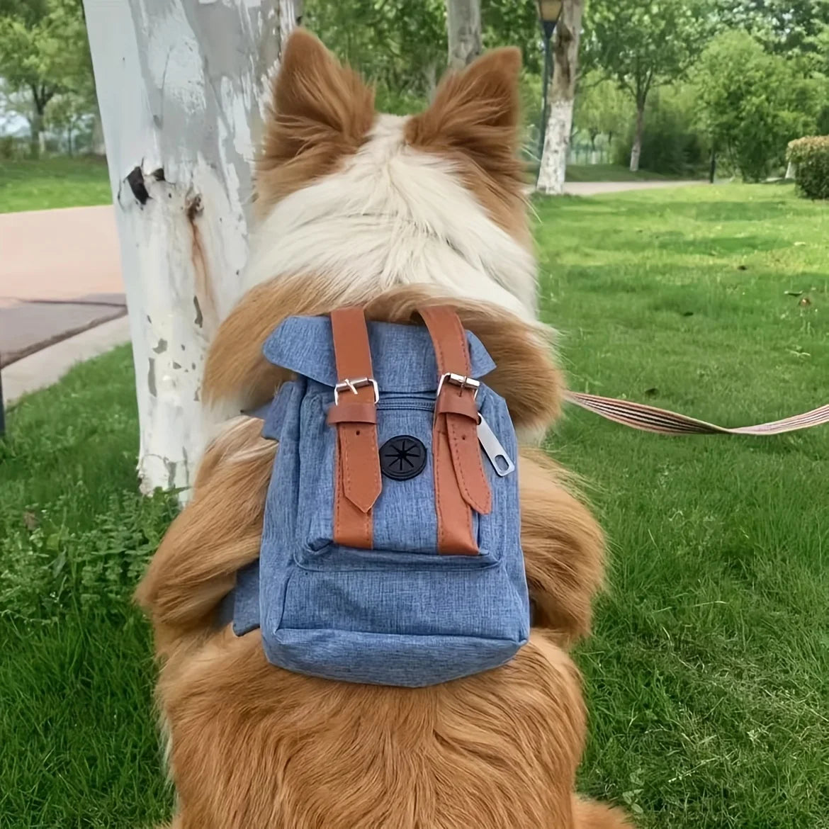 Multifunctional Pet Dog Backpack Pet Carrier Puppy Bag Dogs Outdoor Travel Dog Snacks Backpack French Bulldog Dog Accessories